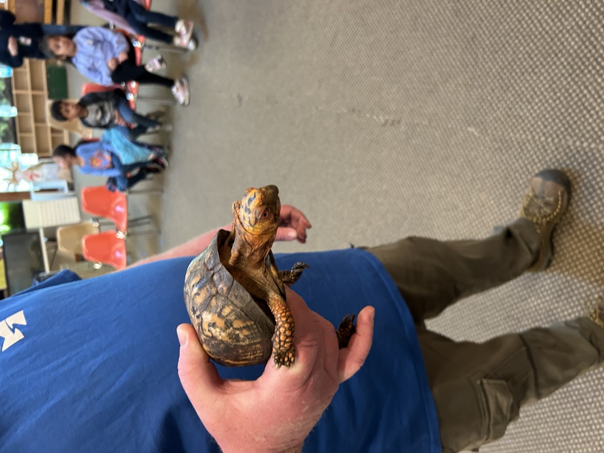 Temple Hill 1st Graders Visit Hudson Highlands Nature Museum News NECSD